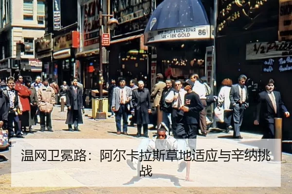 wen-wang-wei-mian-lu-a-er-ka-la-si-cao-di-shi-ying-yu-xin-na-tiao-zhan-2-509.jpg