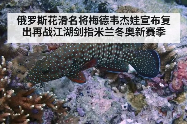 俄罗斯花滑名将梅德韦杰娃宣布复出再战江湖剑指米兰冬奥新赛季